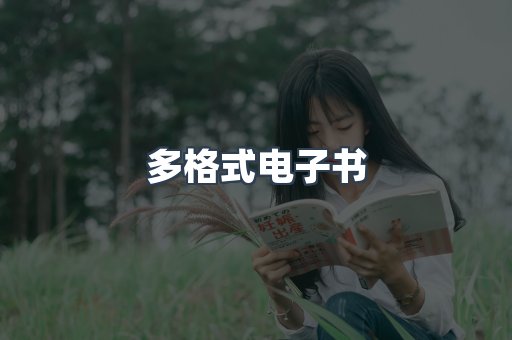 海外电子书